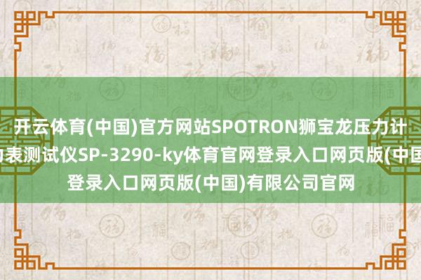 开云体育(中国)官方网站SPOTRON狮宝龙压力计测量仪焊合压力表测试仪SP-3290-ky体育官网登录入口网页版(中国)有限公司官网