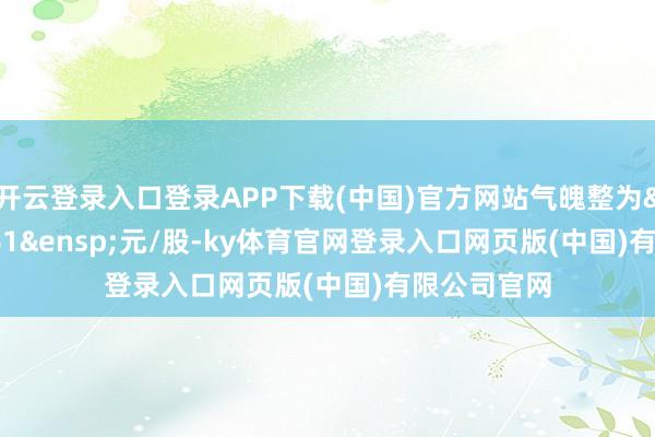 开云登录入口登录APP下载(中国)官方网站气魄整为 10.61 元/股-ky体育官网登录入口网页版(中国)有限公司官网
