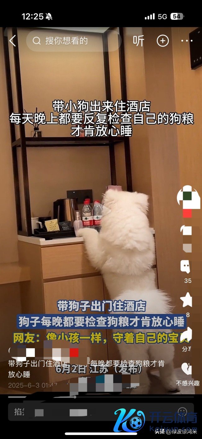 狗子住酒店每晚皆要查验狗粮才肯睡 网友：这哪依然狗呀，比东谈主皆肃肃